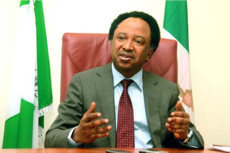 Senator Shehu Sani