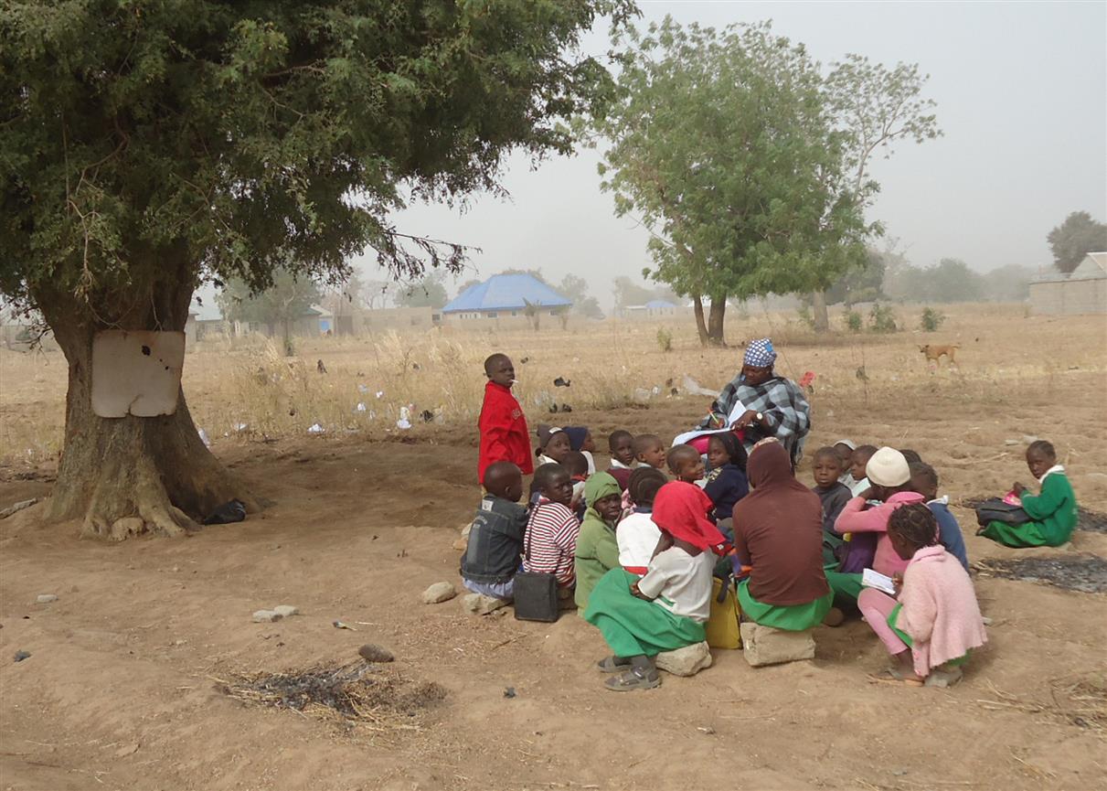 class under the tree
