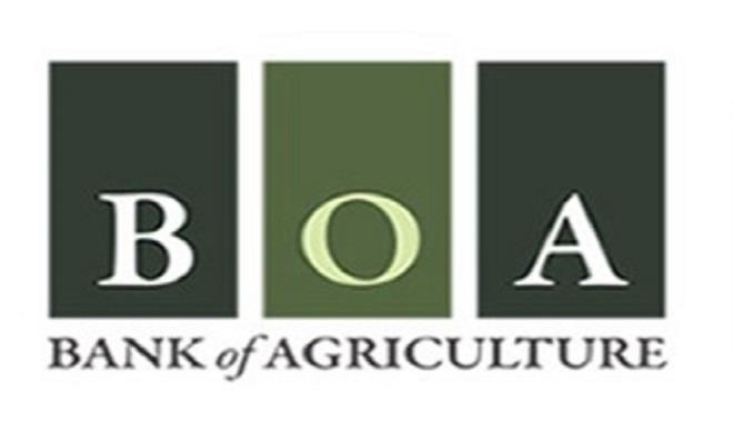 BOA Logo