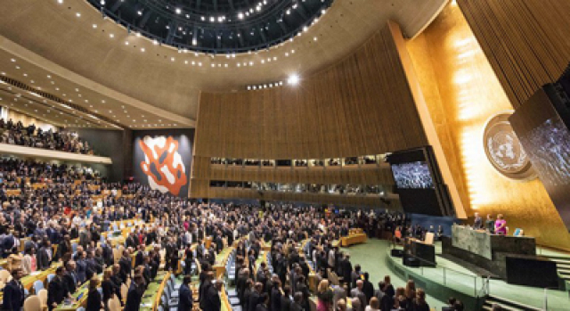 UN Assembly